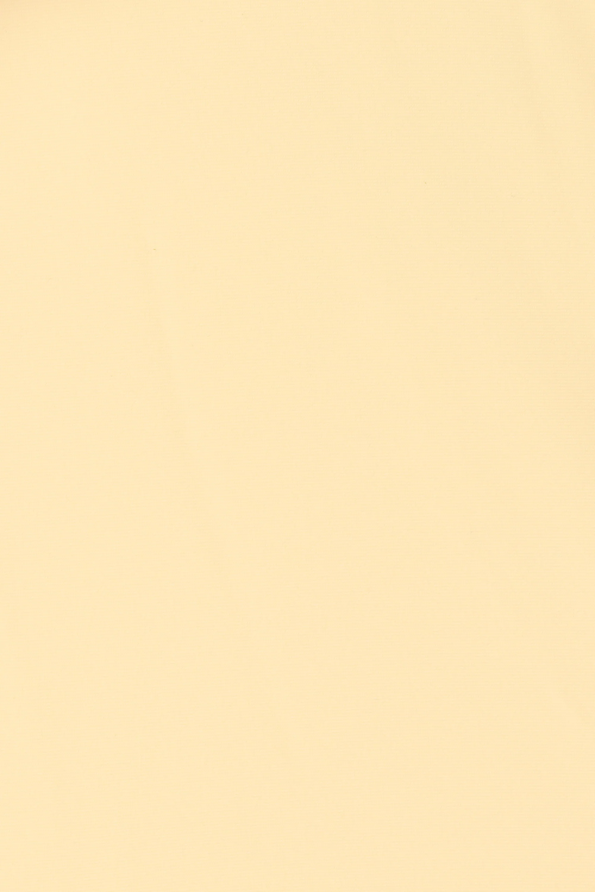 Sol Bikini Top Buttermilk - Image 5